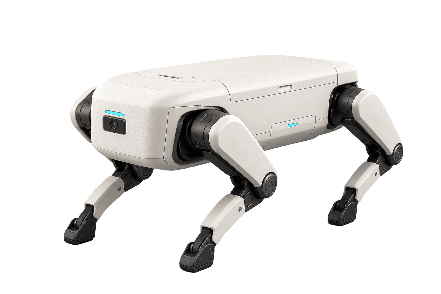 Quadruped robot, exterior and internal assembly